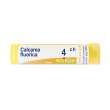 boiron® calcarea fluorica granuli 4 ch g