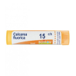 bo.calcarea fluor*15ch 80gr 4g
