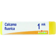 calcarea sulfurica globuli monodose 1 mk boiron