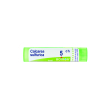calcarea sulfurea tubo  5ch