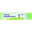 ferrum phosphor*5ch 80gr4g bo