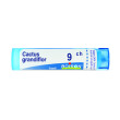 cactus grandifl*9ch 80gr4g bo