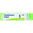 chelidonium majus*5ch 80gr 4g bo