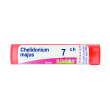 chelidonium majus 7ch granuli multidose boiron