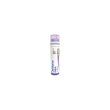 chelidonium majus 30ch 80gr 4g