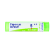 capsicum annuum 5ch granuli