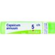 capsicum annuum tubo   5ch