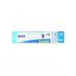 boiron ipeca 9ch gr 4g