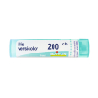 iris versicolor*200ch 80gr 4g 4 g granuli