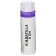 laboratorio sodini pulsatilla 80 granuli 9 ch contenitore multidose gr