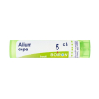 allium cepa tubo  5ch