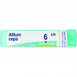 boiron.allium cepa*6ch 80gr 4g