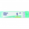 bo.allium cepa*6ch 80gr 4g