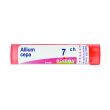 bo.allium cepa tubo  7ch
