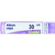 boiron allium cepa 30ch