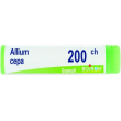 bo.allium cepa*200ch gr 1g