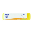allium cepa 1 mk globuli monodose boiron