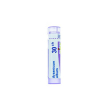 bo.arsenicum iodat*30ch 80gr 4