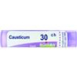 causticum dose   30ch
