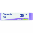 causticum dose   30ch