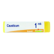 causticum*1mk gl 1g