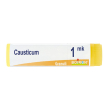 boiron® causticum granuli 1m k globuli
