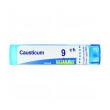 boiron causticum 9ch gr 4g