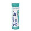 boiron hepar sulfur 200ch gl 1g