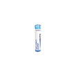 hepar sulfuris calc*5ch 80gr bo