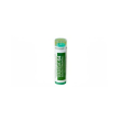vanda 64*4g 80gr cont multid
