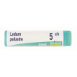 ledum palustre 5ch globuli omeopatici – 1g