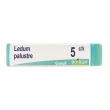 ledum palustre boi*5ch gl 1g