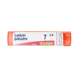 ledum palustre boiron 7ch globuli monodose 1g