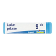 boiron ledum palustre 9ch globuli omeopatici tubo 1g