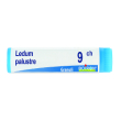 ledum palustre 9ch globuli