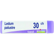 ledum palustre boiron 30 ch globuli 1g