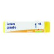 ledum palustre boi*1mk gl 1g