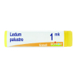 ledum palustre 1mk globuli