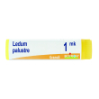 ledum palustre*glob mk aic