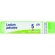 ledum palustre 5ch granuli multidose
