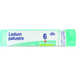 ledum palustre boiron 6 ch granuli 4g