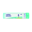 ledum palustre 6ch granuli