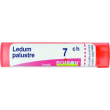 ledum palustre boiron 80 granuli 7 ch multidose 4g