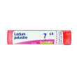 ledum palustre boiron*80 granuli 7 ch contenitore multidose