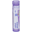 ledum palustre (boiron)*80 granuli 30 ch contenitore multidose