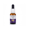 many headed dryandra 15ml