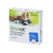 droncit 50mg antiparassitario intestinale per cani e gatti 2 compresse