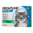 frontline*4pip gatti