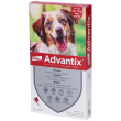 bayer, advantix spot on, 4 pipette