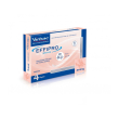effipro*4pip 20-40kg cani